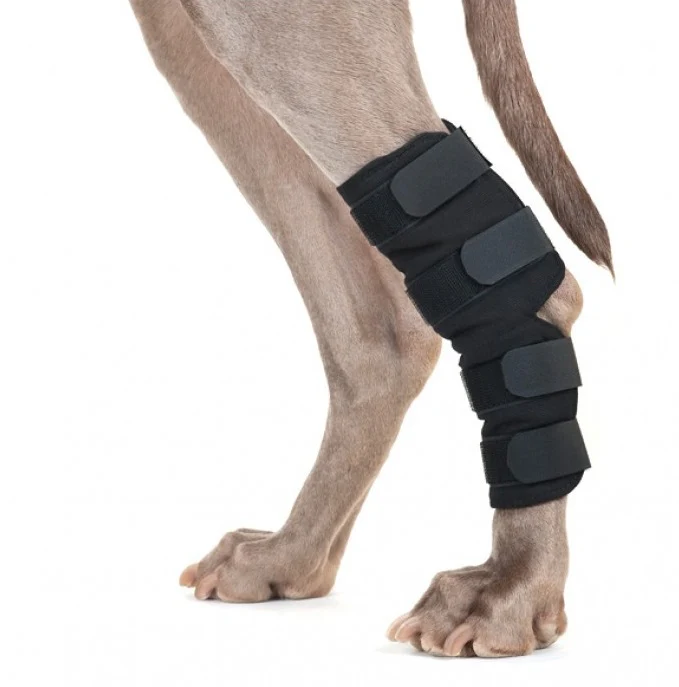 Pikkukuva 1