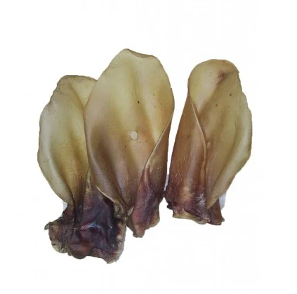 Pikkukuva 1