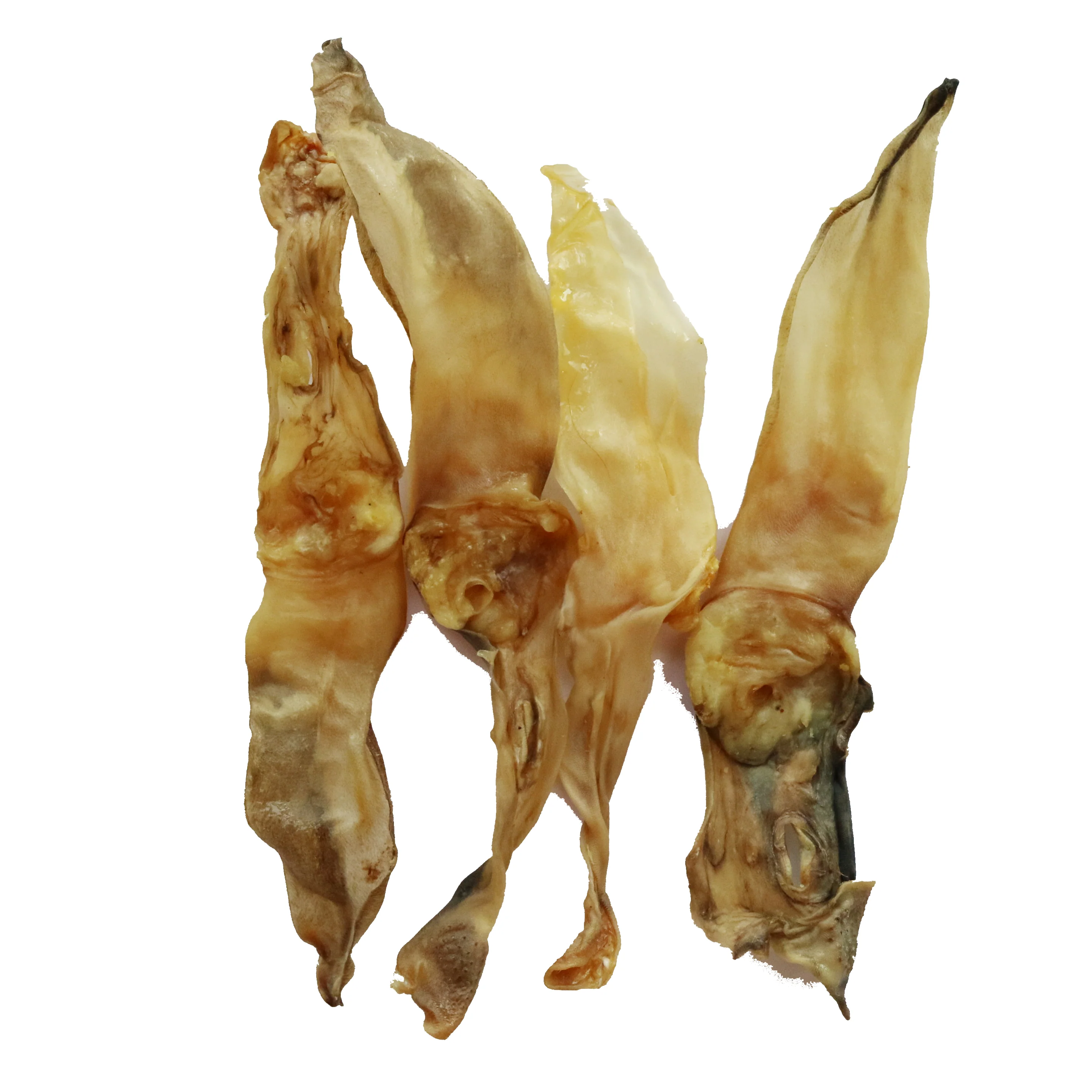 Pikkukuva 1